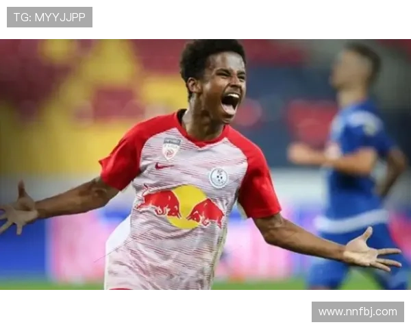 阿德耶米技术特点